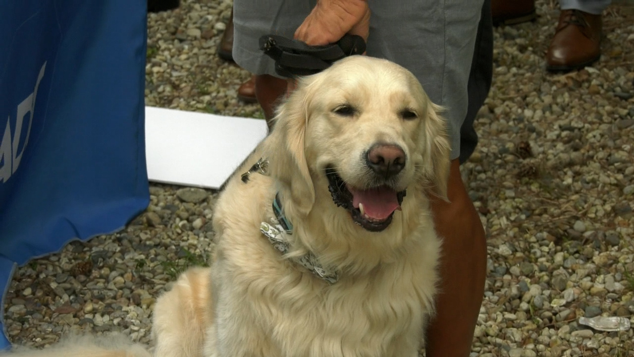 Thumbnail image for ONTV News Break: National Pet Fire Safety Day