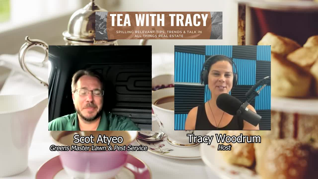 Thumbnail image for Tea with Tracy (08/09/22)